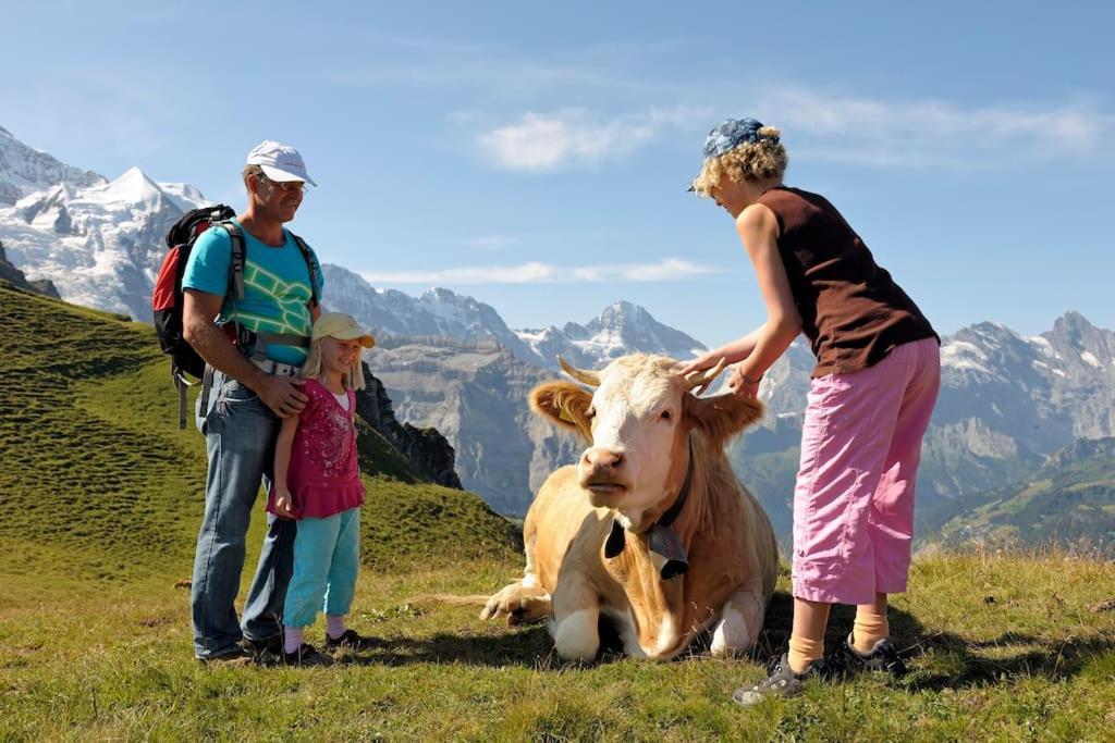 Chalet Heimat Grindelwald Exterior photo